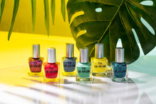 Vacation Club Collection